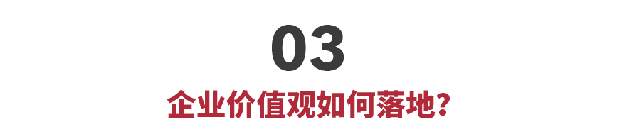 03企业观如何落地